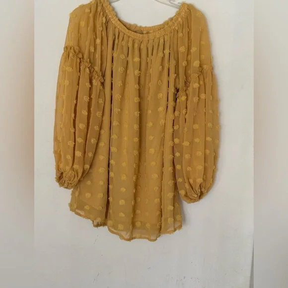 Women’s Long Sleeve Sheer Blouse Color Mustard Size Large - Picture 1 of 7
